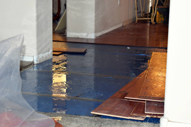 Professional Emergency Water Damage Restoration technician working in Round Hill, VA